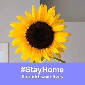 Meet your Posher, Marly